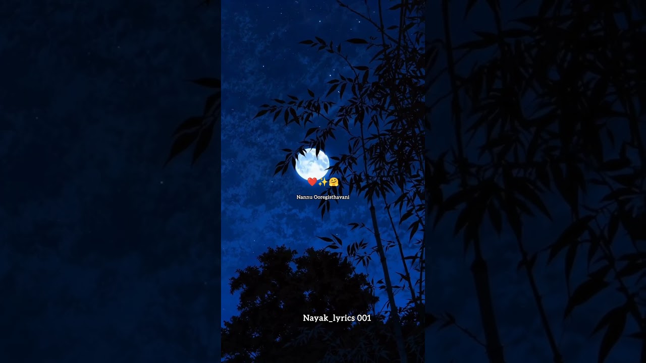 Nee chitram Choosi (female version) Feel The Love lyrics video Pawan CH Sai Pallavi Naga Chaitanya