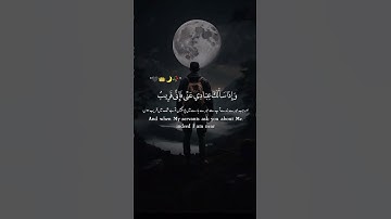 القرآن      سورة البقره