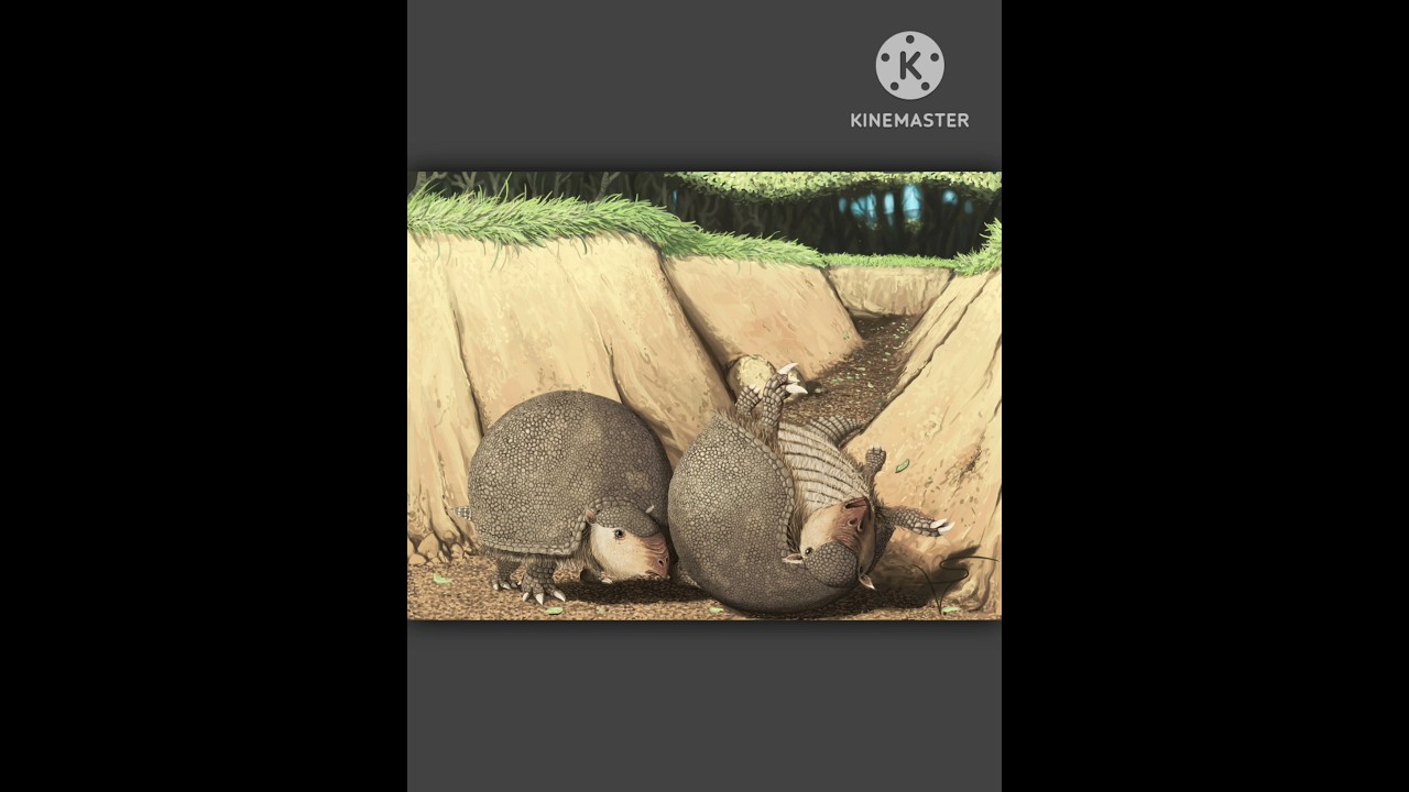 Glyptodon #glyptodon #armadillo #animals #mammal #animalia #herbivores #shorts #extinction #extinct