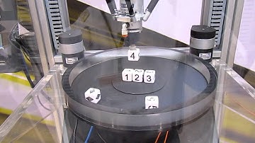 Power PMAC Controlled Delta Robot with Vision