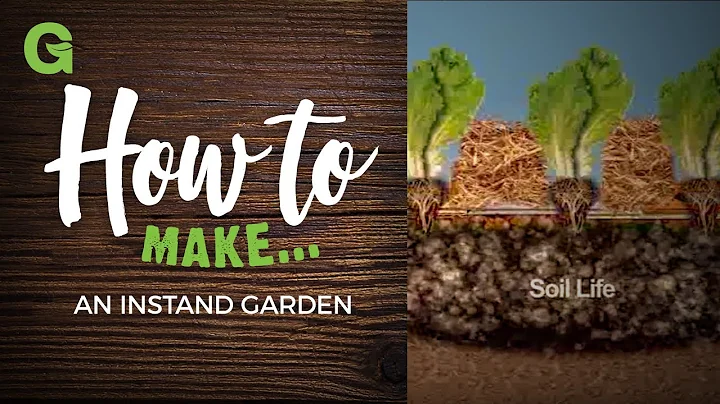 How to Build an Instant Garden