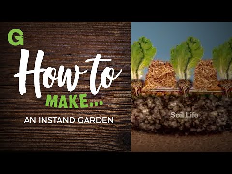 How to Build an Instant Garden