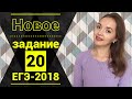 НОВОЕ задание №6 ЕГЭ по русскому языку [IrishU]