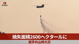 焼失面積2600ヘクタールに 岩手山林火災