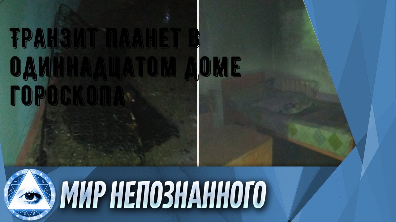Как морские черви помогут регенеративной медицине