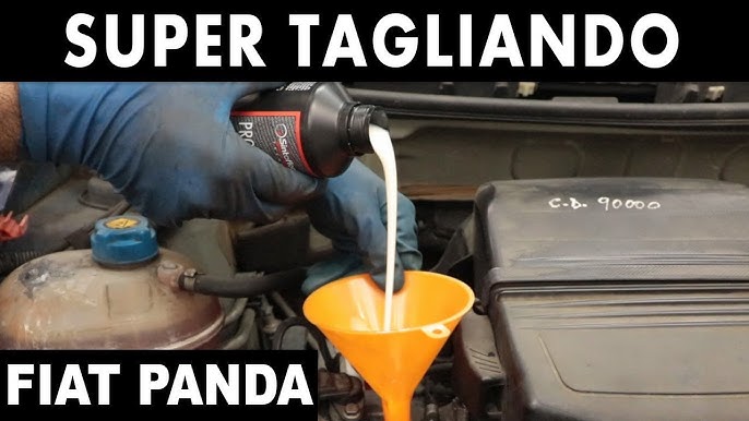Tagliando Completo Fiat 500 Benzina 1.2 - complete service fiat 500 petrol # fiat #fca #fiat500 #500 