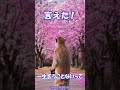 一生言えないと思ってたフレーズが言えた!