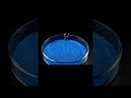 very interesting 🧐 #asmr #asmrvideos #asmrsounds #aivideos#artficial #trendingshorts#scientific