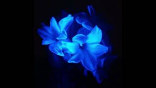 Automotivo Baile Favela Intergalaxia V2 Slowed And Reverb - Dj Penglin