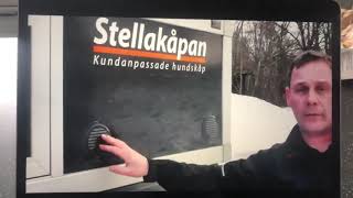 Video 1551688917