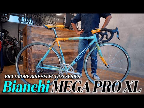 びあんき BIANCHI 110 Anniversary Limited Edition (no.231), 61cm (1995