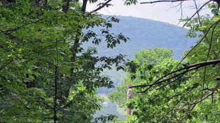 Natures Gateway -1 Acre, Neversink, Ny Mt Views - Adjoining State Land