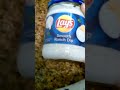 Lays Smooth Ranch Dip review