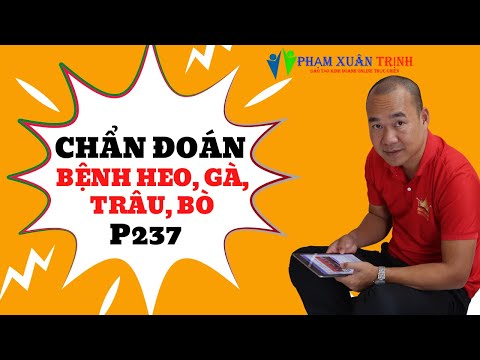 Video: Mùi Có Vai Trò Như Thế Nào Trong Việc Chẩn đoán Bệnh ở Vật Nuôi