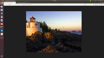 ZCU102 Watermarking Application Accelerated with OpenCL Kernel for Vitis 2020.1