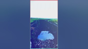 LAGU : MENCARI ALASAN - ALASANMU ( EXISTS ) Lokasi : Ds.Cangkring Tegowanu Grobogan Jateng.