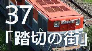 JRF 踏切の街37 EF65-2070 EF210-120 EH500-75 EH200-6 EF210-343 EF66-110