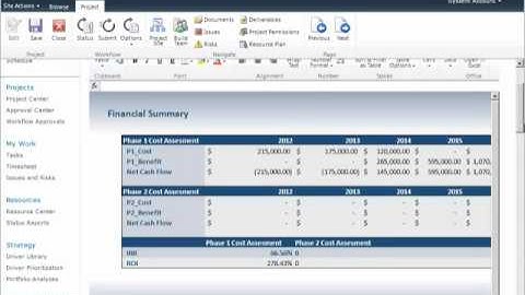 Microsoft Project Server 2010 Webinar