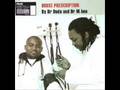 Dr Duda & Mbee ft. Lebo Mathosa (unreleased)
