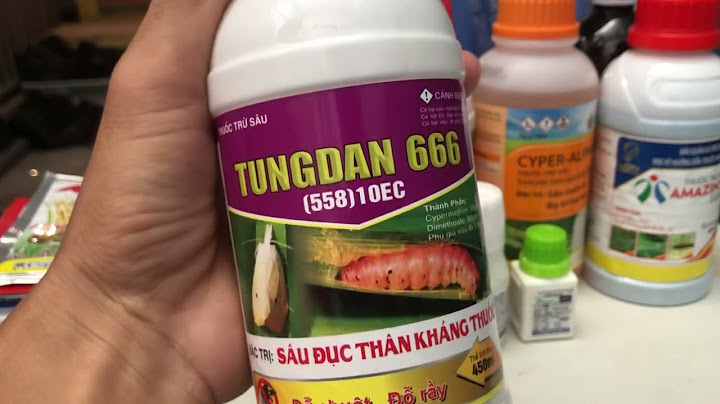 Thuốc trừ sâu 666 là gì năm 2024