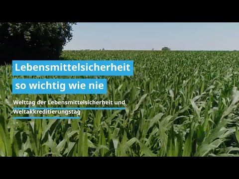 Video: Rückrufe Von Heimtiernahrung Und Lebensmittelsicherheit