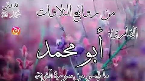 من روائع التلاوات للقارئ أبو محمد | ما تيسر من سورة التوبة