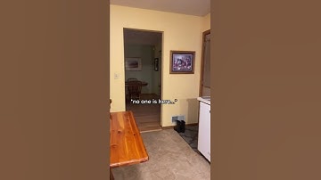 Schizophrenia Simulation 6 - Tactile (Physical) Hallucinations
