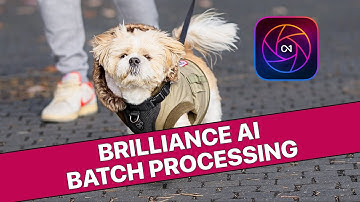 Batch Processing Brilliance AI in On1 Photo Raw 2024