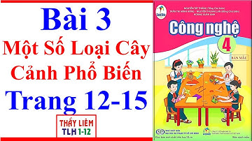 Công Nghệ Lớp 4 Bài 3 | Một Số Loại Cây Cảnh Phổ Biến | Trang 12 – 15 | Cánh Diều