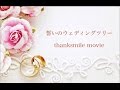 誓いのウェディングツリーの当日のストーリー