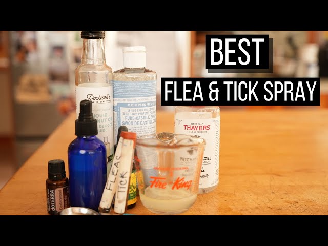 Best Ever Natural Flea And Tick Spray For Dogs And Cats - Youtube