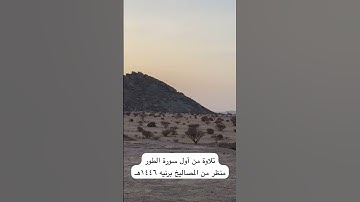 دحيم الحماد ١٤٤٦هـ آيات من أول سورة الطور