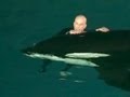 Caught on tape: Whale nearly drowns SeaWorld trainer