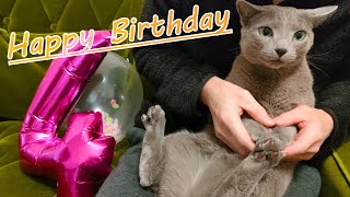Happy Birthday #116 by こて虎 猫life 334 views 1 year ago 4 minutes, 7 seconds