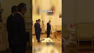 Download Lagu Modi \u0026 Dog Reaction was pure Brotherhood 😄🥰 MP3