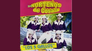 Video thumbnail of "Los Norteños de Cosala - Los 5 Gallos"