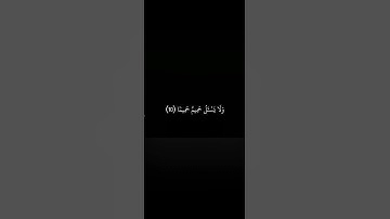 سورة المعارج| من أهوال يوم القيامة #viral #viralvideo #اكسبلور #قرآن