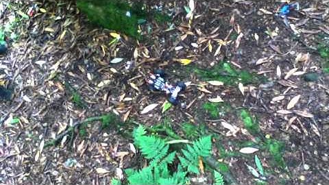 Lego Technic Rock Crawler Chassis (MOC)