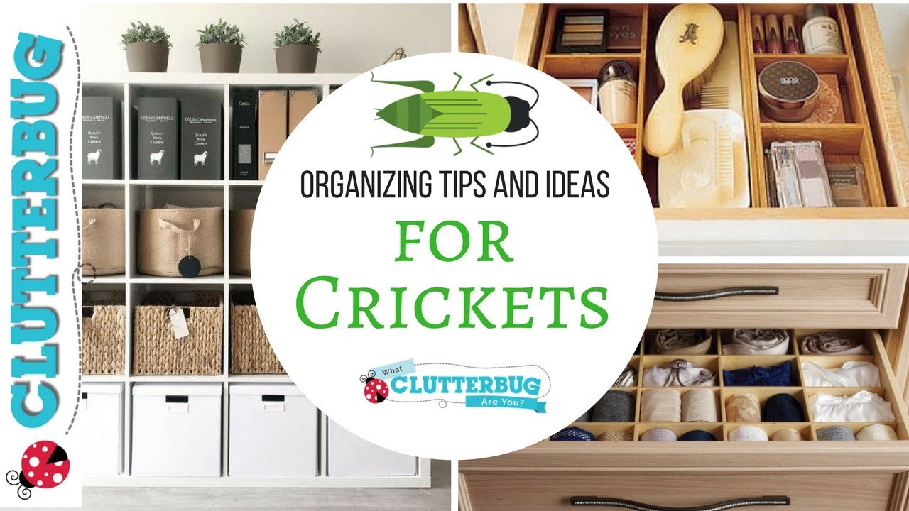 Organizing Tips and Ideas for Crickets - YouTube