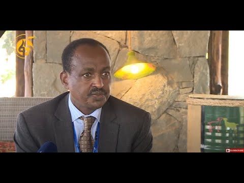 አምባሳደርነት ኢትዮጵያን በተለያዩ ሀገራት የሚወክሉ አምባሳደሮች አንደበት