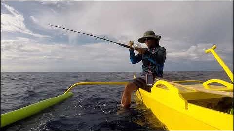 9kg Ruby Snapper  for Dinner