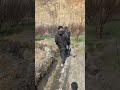Exploring Gonpa Gang Monastry of Woda no -3 # Chhuksang village#Normal video without edit
