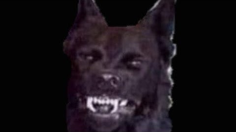 THE KEY TO YOUR POWER WITHIN: Axi-A-Tonal Lines (Energy /Pineal/Chakra Systems). Also: Torus.