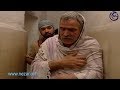 باب الحارة ابو غالب صار بحيطان الخمسين نزار ابو حجر