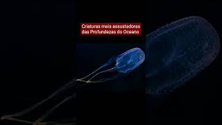 Conheça as criaturas mais temidas e assustadoras do Oceano | Vídeo Completo Fixado nos Comentários