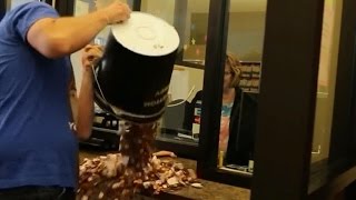 This guy paid his $220 speeding ticket in pennies