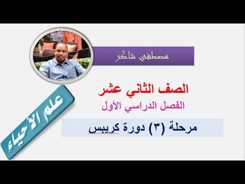 دورة كريبس (3) أحياء ثاني عشر فصل دراسي أول