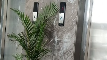 Monarch penal me display me flor setting kese kare