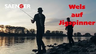 Spinnfischen auf Waller und Rapfen am Rhein | Wels auf Jigspinner am Fluss | Andis Angelabenteuer