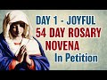 54 Day Rosary Novena Day 1 💙 August 1 💙 Joyful Mysteries